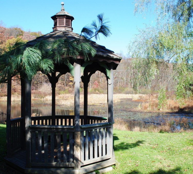 gregorys-pond-park-photo